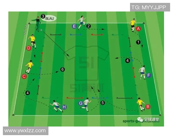 深圳篮球队的阵地战解析：战术布局与球员配合的深度剖析